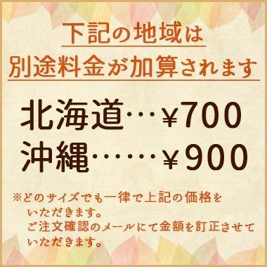 かね七 焼あご天然だしパック 5g×10パック 20袋セット だしパック 出汁 だしの素 出汁 とびうお トビウオ 魚出汁