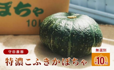 北海道 ふらの 特濃こふき かぼちゃ 無選別 約10kg (守田農園)