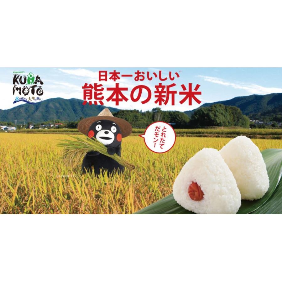 新米 令和5年産 特別栽培米 天草 コシヒカリ 5kg 熊本県 JAあまくさ産 玄米 白米 7分づき 5分づき 3分づき 