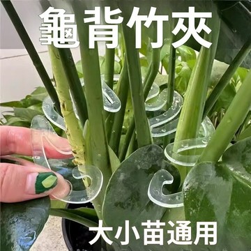 台灣出貨👑龜背竹支撐桿 花支撐架 植物 植物 支撐架 支撐花架 枝幹收攏架 植物防倒伏支架 綠植固定神器花架