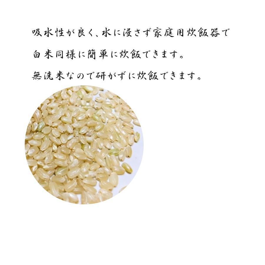 特別栽培米 大潟村あきたこまち 発芽玄米 (無洗米) 1kg×4袋セット 国産 栄養機能食品(鉄分)