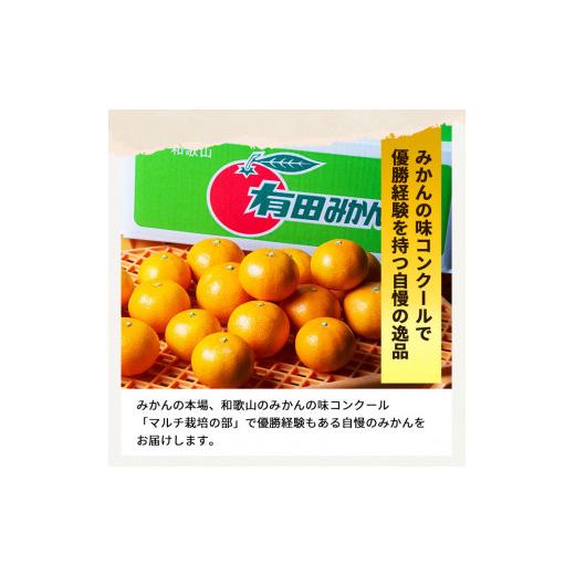 ふるさと納税 和歌山県 広川町 特選有田みかん 10kg サイズ混合 ※11月より順次発送予定 ※着日指定不可