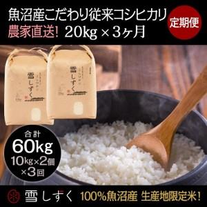 ふるさと納税 定期便！魚沼産こだわり従来コシヒカリ毎月20kg×3回 新潟県十日町市