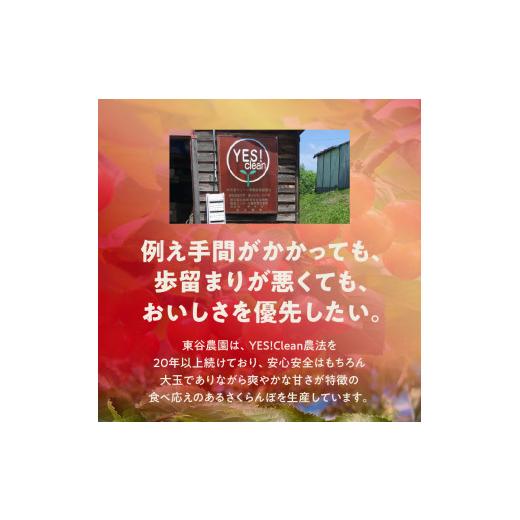 ふるさと納税 北海道 余市町 〔先行受付〕毎年大好評！こだわりの東谷農園 余市産 さくらんぼ 1kg（2024年初夏発送）