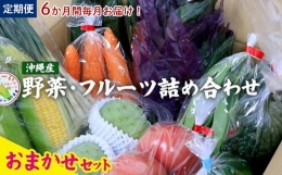 6か月間毎月お届け！沖縄産の野菜・フルーツ詰め合わせ　おまかせセット