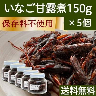 イナゴの佃煮 150g×5個 いなご 甘露煮 珍味 昆虫食 小えび 食感 送料無料