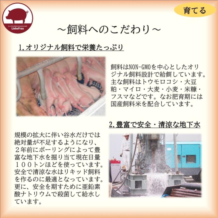 ソーセージ ウインナー 無添加 スモークソーセージ 徳島県産 阿波美豚 150g