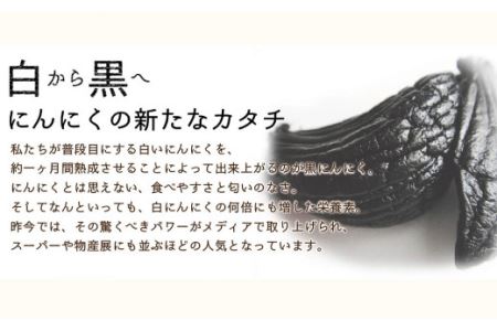 青森県産 訳あり 黒にんにく 500g 福地ホワイト6片