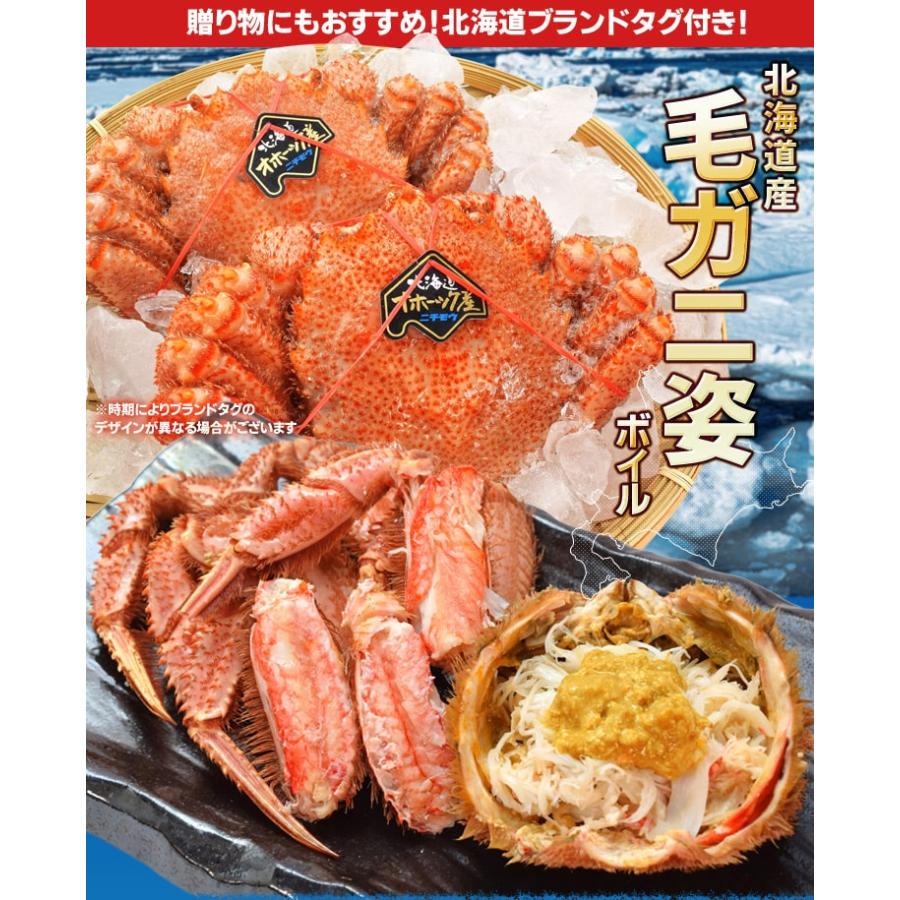 毛ガニ 姿 ボイル ２尾 約１ｋｇ（約５００ｇ×２杯） 北海道 ブランドタグ付 毛蟹 毛がに 冷凍 送料無料 蟹 かにみそ 海鮮