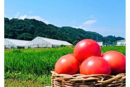 ☆長野の自然が育てた恵み☆ 桃太郎トマト『陽の香り』4kg箱