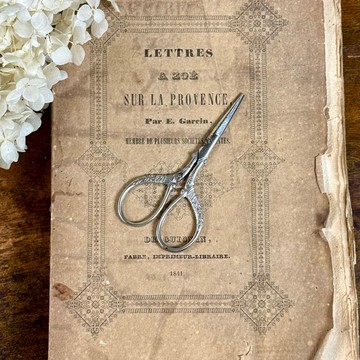 50568-迷人法國小剪刀