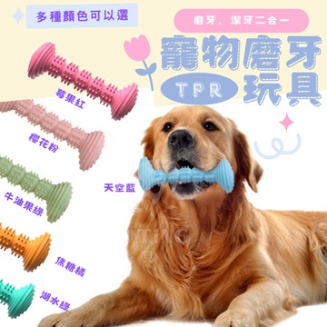 TPR 槓鈴造型磨牙玩具 耐咬 啃咬 玩具 多色 狗狗磨牙 寵物紓壓 狗 寵物 潔齒磨牙