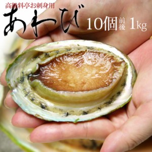 活〆 冷凍 あわび (1kg) タスマニア産 生食用 刺身 アワビ 鮑 食品 魚介類 水産加工品 貝類 アワビ 翡翠の瞳 翡翠のひとみ ひすい 送料無