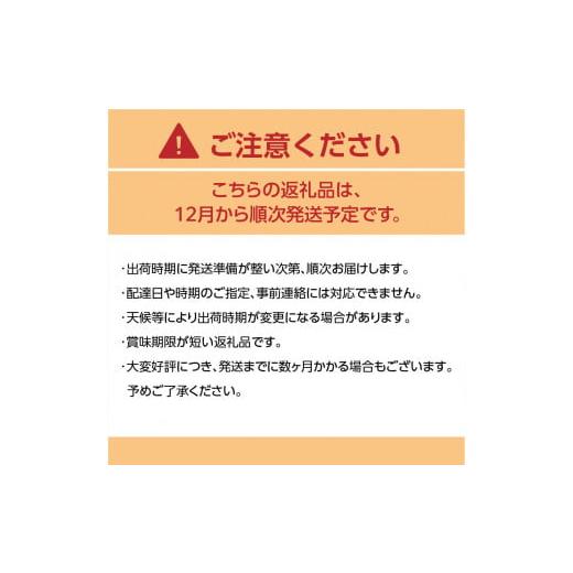 ふるさと納税 福岡県 八女市 博多あまおう700g（化粧箱）｜ＪＡふくおか八女