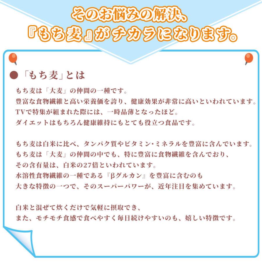 セール 国産 もち麦 2.7kg(450g×6袋) （翌日発送） 無添加 無着色 雑穀 雑穀米 ダイエット 置き換え 食品 食物繊維 送料無料