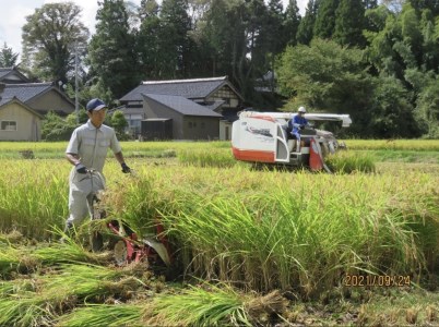 中能登町産　特別栽培米春木コシヒカリ（玄米）20kg