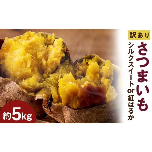 ふるさと納税 熊本県 合志市  訳あり 不揃い さつまいも 紅はるか シルクスイート 約5kg×1箱（S〜2Lサイズ混合）