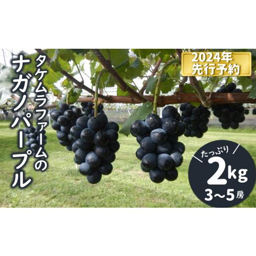 ふるさと納税 長野県 松川町 TK07-24A ぶどう ナガノパープル 2kg／2024年8月下旬頃〜配送予定 種なし