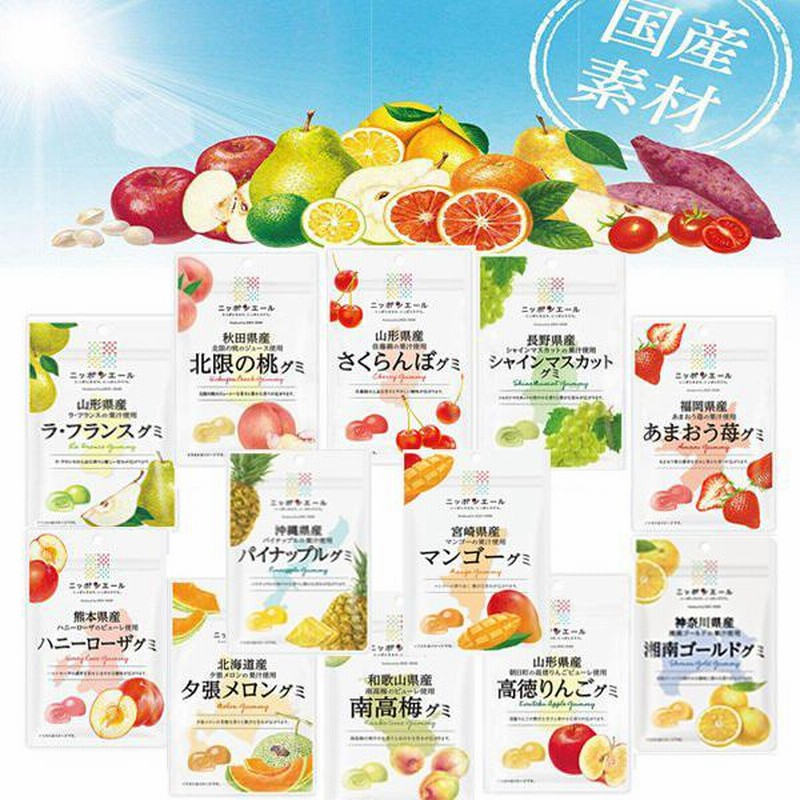 ②国産　グミ　ニッポンエール　ご当地グミ　国産フルーツグミ　果物グミ　お菓子 全農 ニッポンエール グミ 20個セット 10種 全国ご当地 果汁