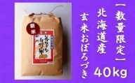 令和5年産！『100%自家生産玄米』善生さんの自慢の米 玄米おぼろづき４０kg※一括発送