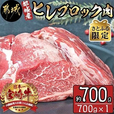 ふるさと納税 都城市 都城産宮崎牛ヒレブロック肉約700g