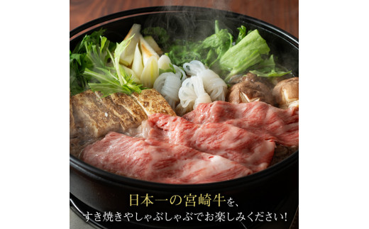 宮崎牛 すき焼き 肩ロース 600g  [E11007]