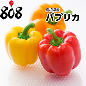 パプリカ　1個　約180g 旬の味覚 グルメ 詰め合わせ 野菜 セット パッ