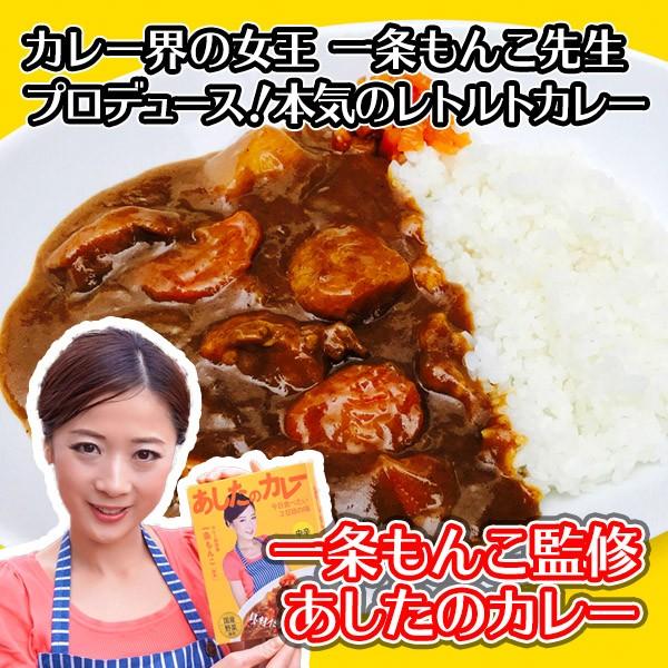 あしたのカレー 一条もんこ 2食 内祝い お返し お取り寄せ カレー レトルト 食品 ポイント消化 送料無 メール便