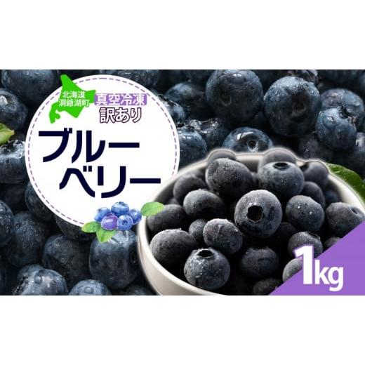 ふるさと納税 北海道 洞爺湖町 北海道 訳あり ブルーベリー 500g 2袋 計1kg 果物 フルーツ 新鮮 国産 ベリー 農薬不使用 果物 農作物 フルーツ お取り寄せ グ…