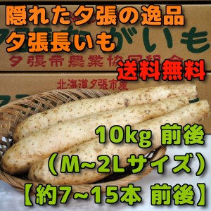 北海道夕張市産 夕張長いも 10kg 前後 Mサイズから2Lサイズ 約7本から15本 前後 11月中旬ごろよりお届け予定