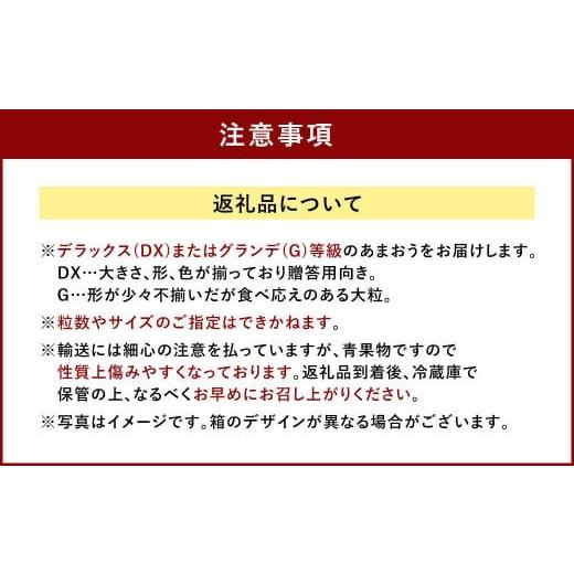 ふるさと納税 福岡県 太宰府市 福岡県産 あまおう 4パック＆練乳 いちご 苺 フルーツ 国産 セット