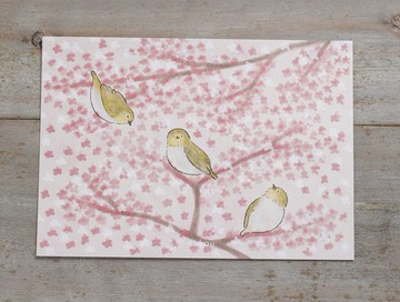 ni.kou 櫻花 綠繡眼 明信片