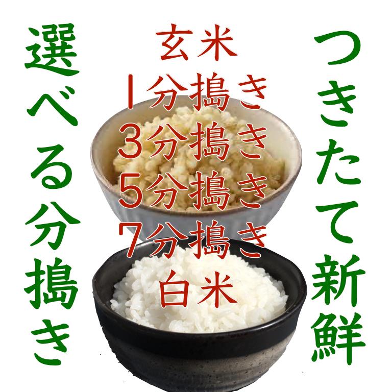 ひろしまのお米 玄米30kg 白米 分づき 送料無料