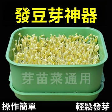 臺灣出貨⚡新款家用髮豆芽工具神器髮芽盆專用筐生綠豆芽方法芽花生園林擺件 NRRW