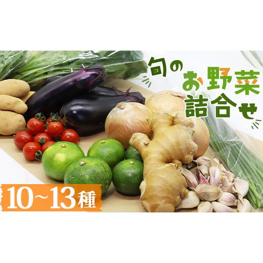 ふるさと納税 高知県 香南市 高知県香南市産 旬のお野菜詰合せ(10〜13品目) pr-0007