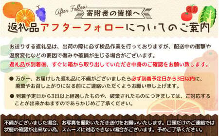 もも モモ 桃 ギフト 贈り物 プレゼント 夏ギフト 果物 フルーツ 人気 産地直送 和歌山県 お取り寄せ   和歌山の桃　約4kg・秀選品※2024年6月下旬頃から8月上旬頃順次発送