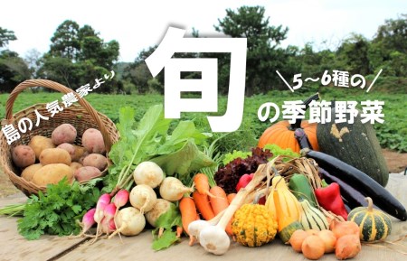 季節の野菜詰め合わせ（5～6種）！農薬不使用だから安心安全！