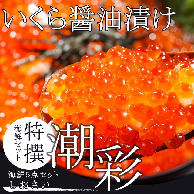 お歳暮 ギフト カニ 送料無料 特撰 海鮮セット 潮彩(しおさい)(5品セット)   御歳暮 冬ギフト 北海道 かにセット 盛り合わせ セット 毛蟹 海鮮