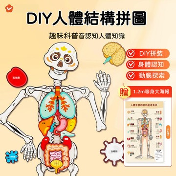 DIY人體結構拼圖 可動關節骨骼模型 1.2米等身海報 器官功能速查表 兒童科普教具 3-8歲科學啟蒙 人體器官模型拼圖