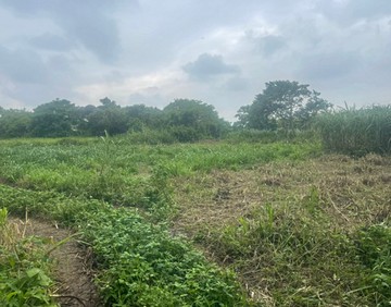 楊湖路上湖段農地｜桃園市楊梅區上湖段