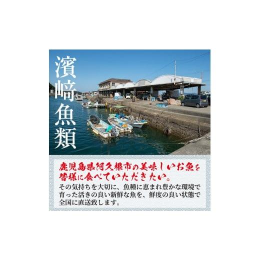 ふるさと納税 鹿児島県 阿久根市 数量限定！鹿児島県阿久根産 薩摩甘エビ(約1kg・42〜50尾) 国産 阿久根市産 えび 海老 急速冷凍 冷凍配送 魚貝類 魚介類 海産…