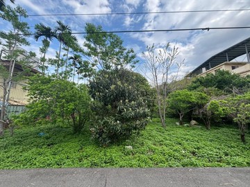 專任東勢大茅埔臨路方正平坦美農地｜台中市東勢區茅埔東段