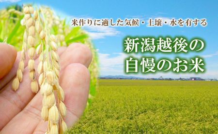 令和5年 栽培期間中減農薬・減化学肥料栽培米こしひかり5kg 無洗米 定期便6ヶ月