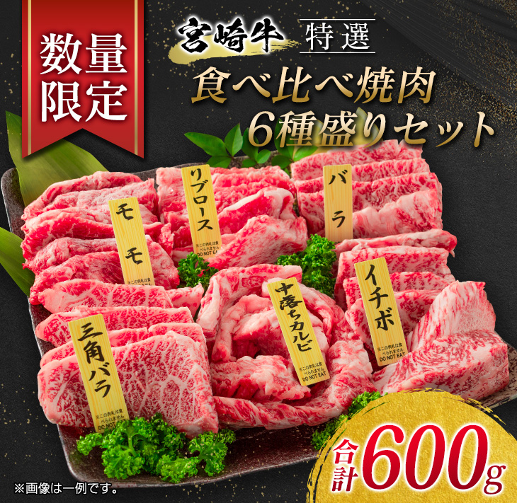 EB6-21 数量限定≪特選≫宮崎牛食べ比べ焼肉6種盛りセット(合計600g)　 肉　牛　牛肉