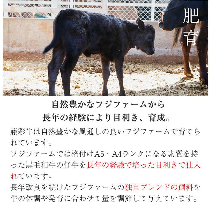 藤彩牛 サーロインステーキ(200g×2枚) A4〜A5ランク九州産黒毛和牛 フジチク お歳暮 のし対応可