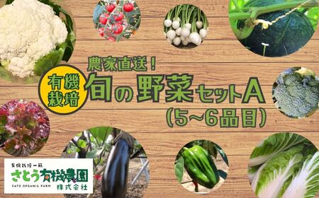 A-552 旬の野菜セットA 5~6品目 有機栽培 オーガニック 産地直送 野菜 さとう有機農園 おまかせ 旬野菜 春夏野菜 秋冬野菜 葉物 根菜