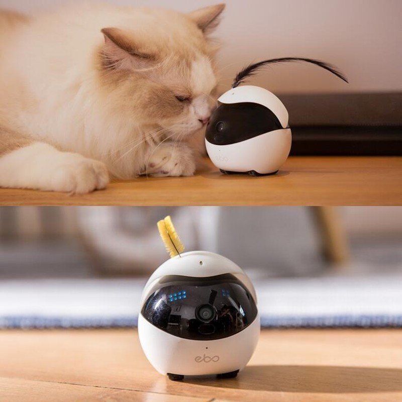 イーボ Ebo 猫用 自走式 カメラ ロボット ねこ 猫 猫用品 動く 見守り 声掛け マイク 搭載 ペットモニター ペット 留守番 撮影 会話  自動帰還充電 自動走行 | LINEショッピング