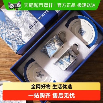 舍里國風高級感青花咖啡杯碟高顏值輕奢下午茶套裝禮盒款送禮禮物