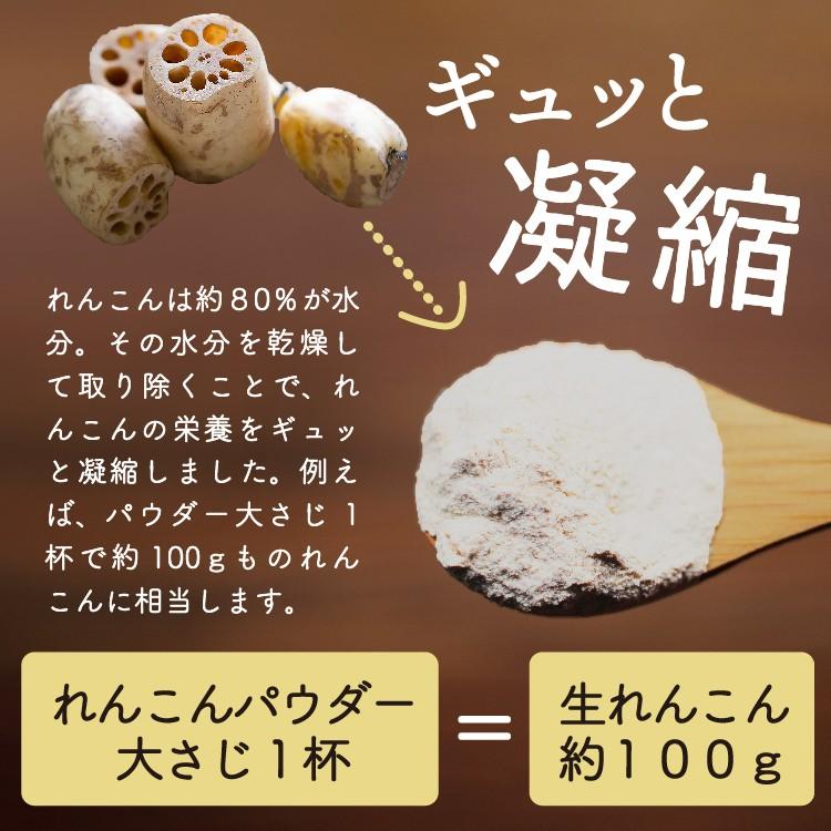 れんこん レンコンパウダー  れんこん九州産 100g メール便 ギフト プレゼント セール 食品 お試し lotus