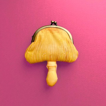 Plantpot dapperling / kinoko gamaguchi 錢包 -Leucocoprinus birnbaumii- / 錢包，零錢包，小袋